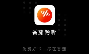 番茄畅听怎么能免费无广告图1