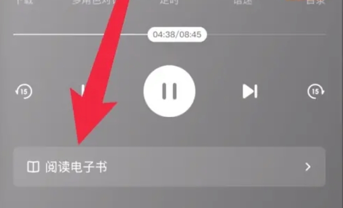 番茄畅听怎么看文字图4