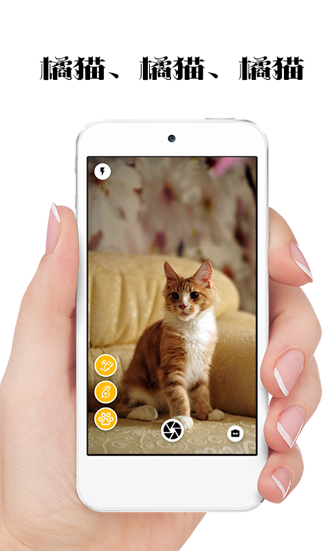 极简猫咪相机最新版图1